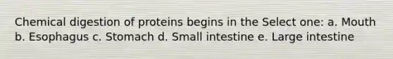Chemical digestion of proteins begins in the Select one: a. Mouth b. Esophagus c. Stomach d. Small intestine e. Large intestine