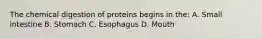 The chemical digestion of proteins begins in the: A. Small intestine B. Stomach C. Esophagus D. Mouth