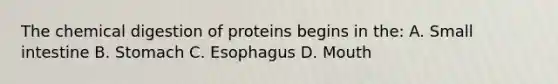 The chemical digestion of proteins begins in the: A. Small intestine B. Stomach C. Esophagus D. Mouth