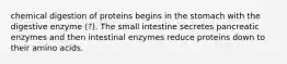 chemical digestion of proteins begins in the stomach with the digestive enzyme (?). The small intestine secretes pancreatic enzymes and then intestinal enzymes reduce proteins down to their amino acids.