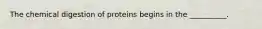 The chemical digestion of proteins begins in the __________.