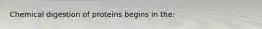 Chemical digestion of proteins begins in the: