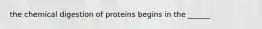 the chemical digestion of proteins begins in the ______