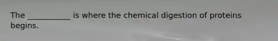 The ___________ is where the chemical digestion of proteins begins.