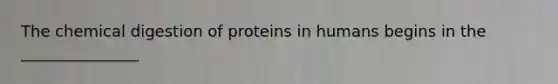 The chemical digestion of proteins in humans begins in the _______________