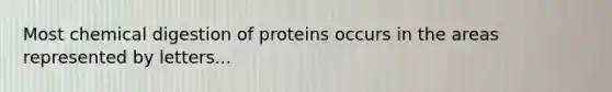 Most chemical digestion of proteins occurs in the areas represented by letters...