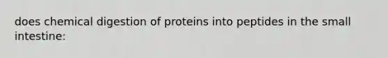 does chemical digestion of proteins into peptides in <a href='https://www.questionai.com/knowledge/kt623fh5xn-the-small-intestine' class='anchor-knowledge'>the small intestine</a>: