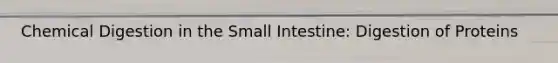 Chemical Digestion in the Small Intestine: Digestion of Proteins