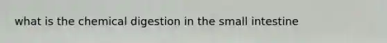 what is the chemical digestion in the small intestine