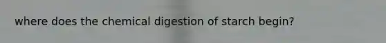 where does the chemical digestion of starch begin?