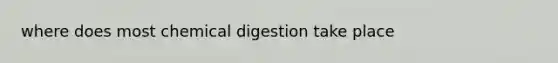 where does most chemical digestion take place