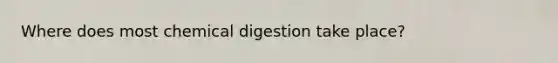 Where does most chemical digestion take place?