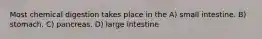 Most chemical digestion takes place in the A) small intestine. B) stomach. C) pancreas. D) large intestine