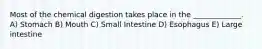 Most of the chemical digestion takes place in the _____________. A) Stomach B) Mouth C) Small Intestine D) Esophagus E) Large intestine