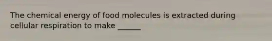 The chemical energy of food molecules is extracted during cellular respiration to make ______