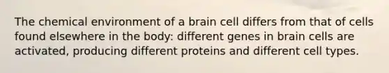 The chemical environment of a brain cell differs from that of cells found elsewhere in the body: different genes in brain cells are activated, producing different proteins and different cell types.