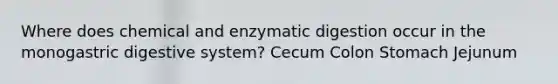 Where does chemical and enzymatic digestion occur in the monogastric digestive system? Cecum Colon Stomach Jejunum