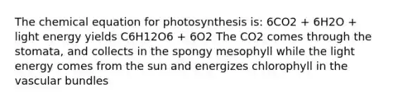 The chemical equation for photosynthesis is: 6CO2 + 6H2O + light energy yields C6H12O6 + 6O2 The CO2 comes through the stomata, and collects in the spongy mesophyll while the light energy comes from the sun and energizes chlorophyll in the vascular bundles