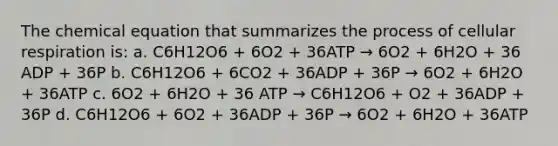 The chemical equation that summarizes the process of cellular respiration is: a. C6H12O6 + 6O2 + 36ATP → 6O2 + 6H2O + 36 ADP + 36P b. C6H12O6 + 6CO2 + 36ADP + 36P → 6O2 + 6H2O + 36ATP c. 6O2 + 6H2O + 36 ATP → C6H12O6 + O2 + 36ADP + 36P d. C6H12O6 + 6O2 + 36ADP + 36P → 6O2 + 6H2O + 36ATP