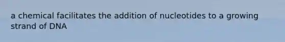 a chemical facilitates the addition of nucleotides to a growing strand of DNA