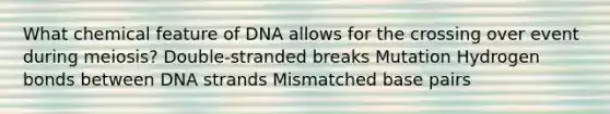 What chemical feature of DNA allows for the crossing over event during meiosis? Double-stranded breaks Mutation Hydrogen bonds between DNA strands Mismatched base pairs