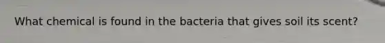 What chemical is found in the bacteria that gives soil its scent?