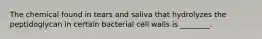 The chemical found in tears and saliva that hydrolyzes the peptidoglycan in certain bacterial cell walls is ________.