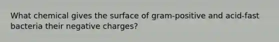 What chemical gives the surface of gram-positive and acid-fast bacteria their negative charges?