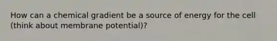 How can a chemical gradient be a source of energy for the cell (think about membrane potential)?