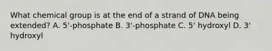 What chemical group is at the end of a strand of DNA being extended? A. 5'-phosphate B. 3'-phosphate C. 5' hydroxyl D. 3' hydroxyl