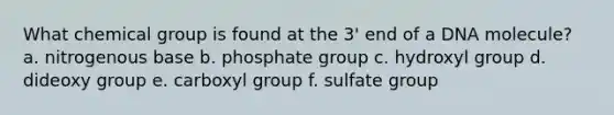 What chemical group is found at the 3' end of a DNA molecule? a. nitrogenous base b. phosphate group c. hydroxyl group d. dideoxy group e. carboxyl group f. sulfate group