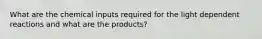 What are the chemical inputs required for the light dependent reactions and what are the products?