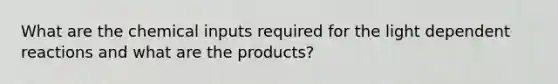 What are the chemical inputs required for the light dependent reactions and what are the products?