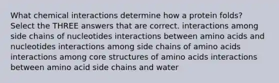 What chemical interactions determine how a protein folds? Select the THREE answers that are correct. interactions among side chains of nucleotides interactions between amino acids and nucleotides interactions among side chains of amino acids interactions among core structures of amino acids interactions between amino acid side chains and water