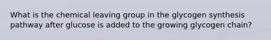 What is the chemical leaving group in the glycogen synthesis pathway after glucose is added to the growing glycogen chain?