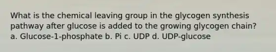 What is the chemical leaving group in the glycogen synthesis pathway after glucose is added to the growing glycogen chain? a. Glucose-1-phosphate b. Pi c. UDP d. UDP-glucose