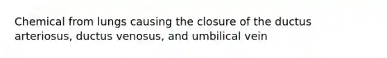 Chemical from lungs causing the closure of the ductus arteriosus, ductus venosus, and umbilical vein