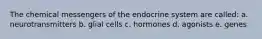 The chemical messengers of the endocrine system are called: a. neurotransmitters b. glial cells c. hormones d. agonists e. genes