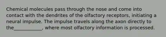 Chemical molecules pass through the nose and come into contact with the dendrites of the olfactory receptors, initiating a neural impulse. The impulse travels along the axon directly to the____________, where most olfactory information is processed.