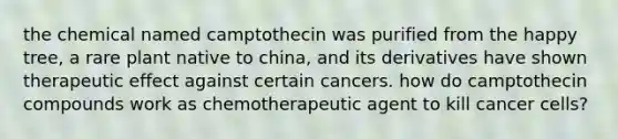 the chemical named camptothecin was purified from the happy tree, a rare plant native to china, and its derivatives have shown therapeutic effect against certain cancers. how do camptothecin compounds work as chemotherapeutic agent to kill cancer cells?