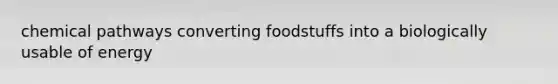 chemical pathways converting foodstuffs into a biologically usable of energy