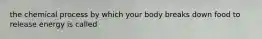 the chemical process by which your body breaks down food to release energy is called