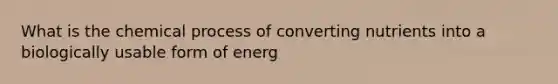 What is the chemical process of converting nutrients into a biologically usable form of energ