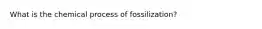 What is the chemical process of fossilization?