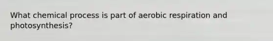 What chemical process is part of aerobic respiration and photosynthesis?