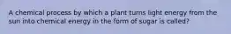 A chemical process by which a plant turns light energy from the sun into chemical energy in the form of sugar is called?