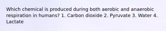 Which chemical is produced during both aerobic and anaerobic respiration in humans? 1. Carbon dioxide 2. Pyruvate 3. Water 4. Lactate