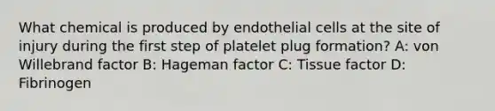 What chemical is produced by endothelial cells at the site of injury during the first step of platelet plug formation? A: von Willebrand factor B: Hageman factor C: Tissue factor D: Fibrinogen