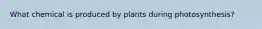 What chemical is produced by plants during photosynthesis?