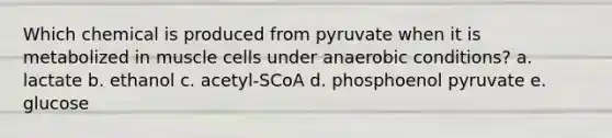 Which chemical is produced from pyruvate when it is metabolized in muscle cells under anaerobic conditions? a. lactate b. ethanol c. acetyl-SCoA d. phosphoenol pyruvate e. glucose